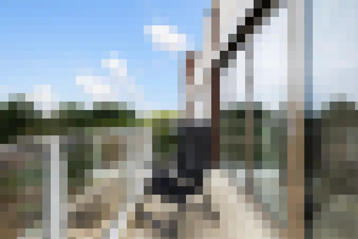 Melkemastate 2 a 85 Leeuwarden thumbnail 21