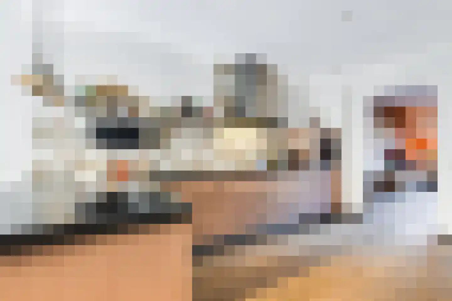 Melkeppe 13 Den Haag thumbnail 10