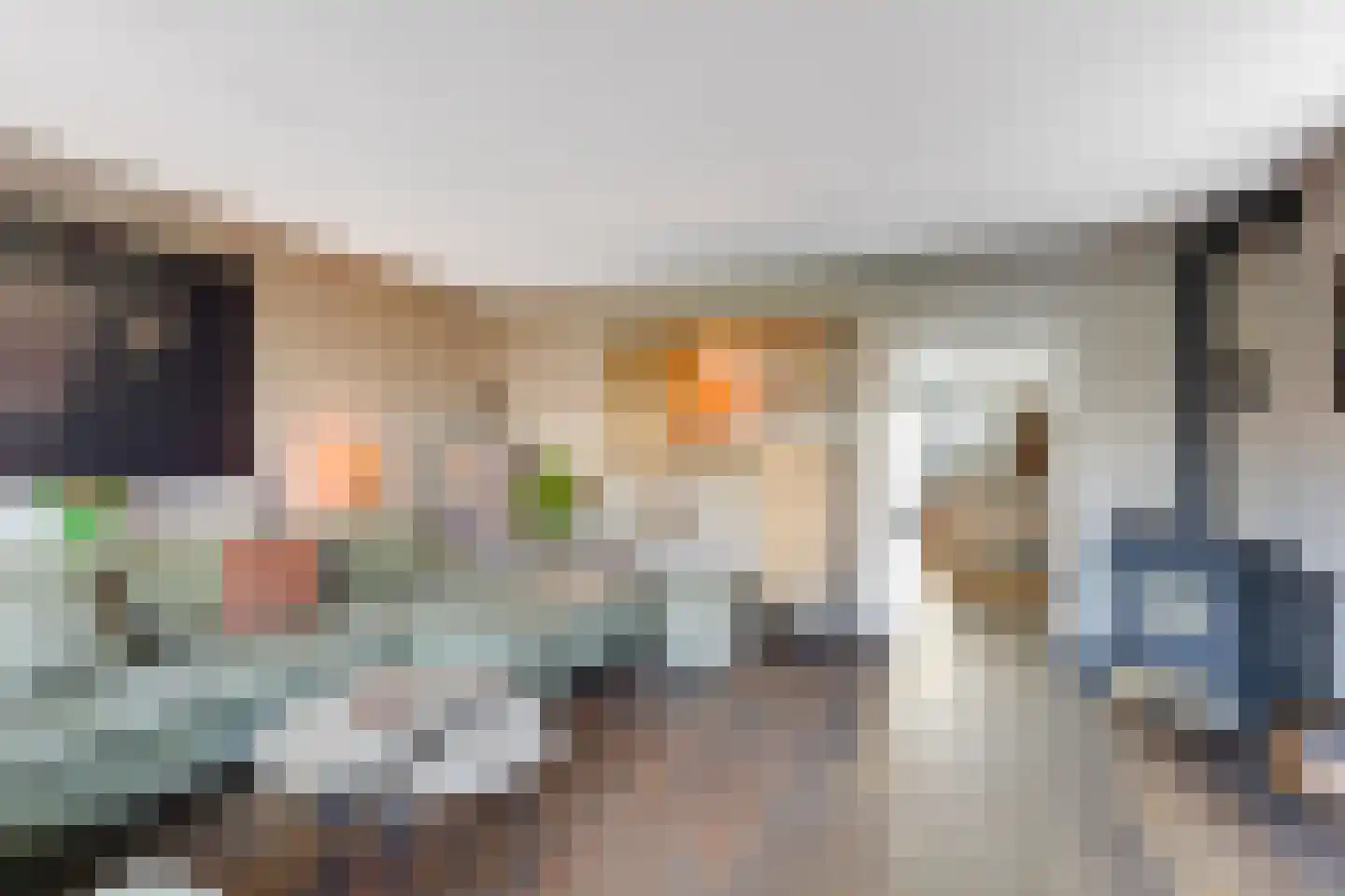 Melkeppe 13 Den Haag thumbnail 13
