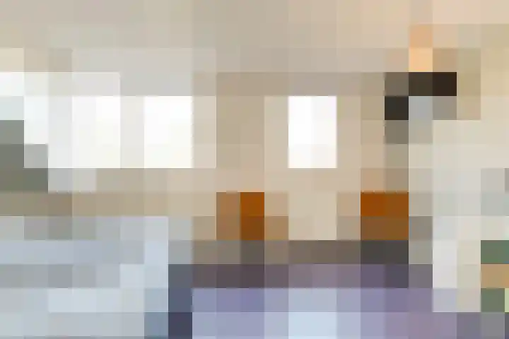 Melkeppe 13 Den Haag thumbnail 15