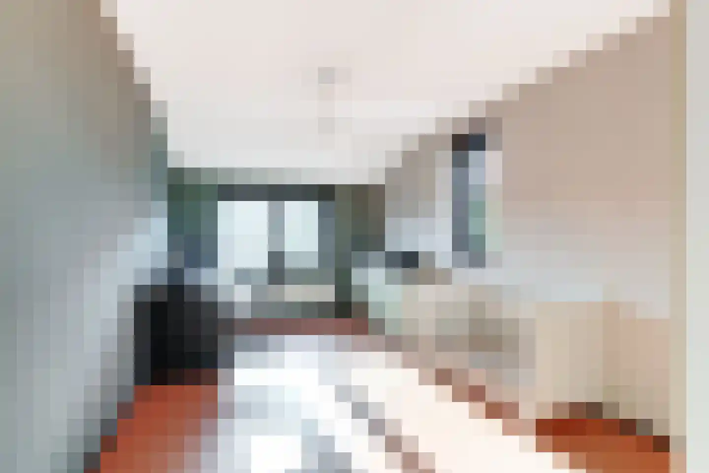 Melkeppe 13 Den Haag thumbnail 17