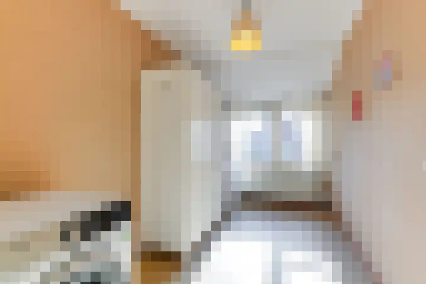 Melkeppe 13 Den Haag thumbnail 19