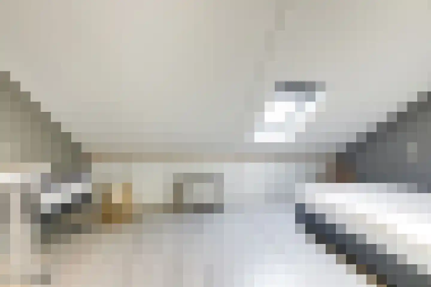 Melkeppe 13 Den Haag thumbnail 24