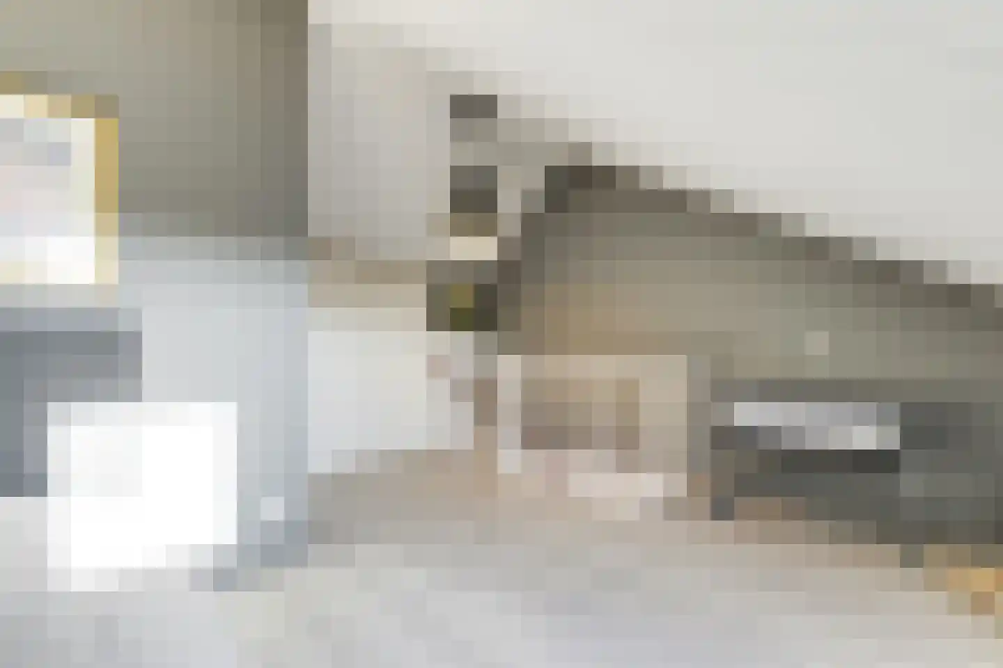 Melkeppe 13 Den Haag thumbnail 25