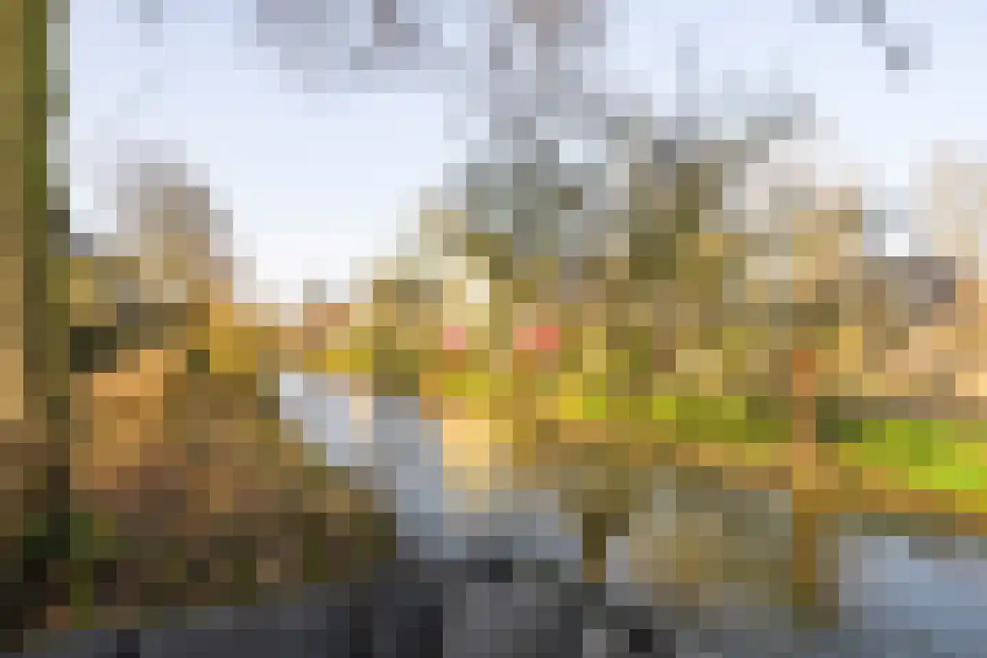 Melkeppe 13 Den Haag thumbnail 26