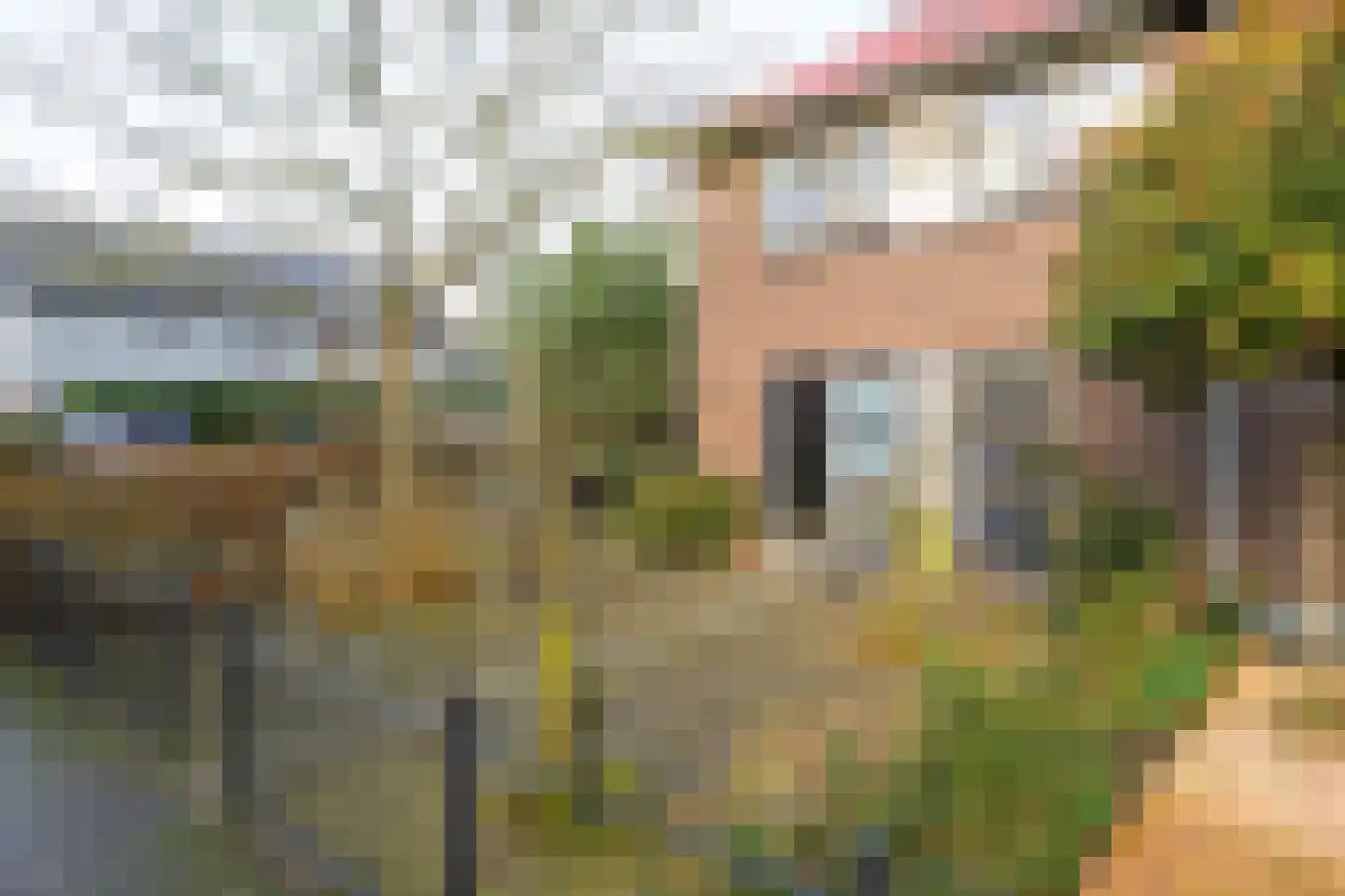 Melkeppe 13 Den Haag thumbnail 30