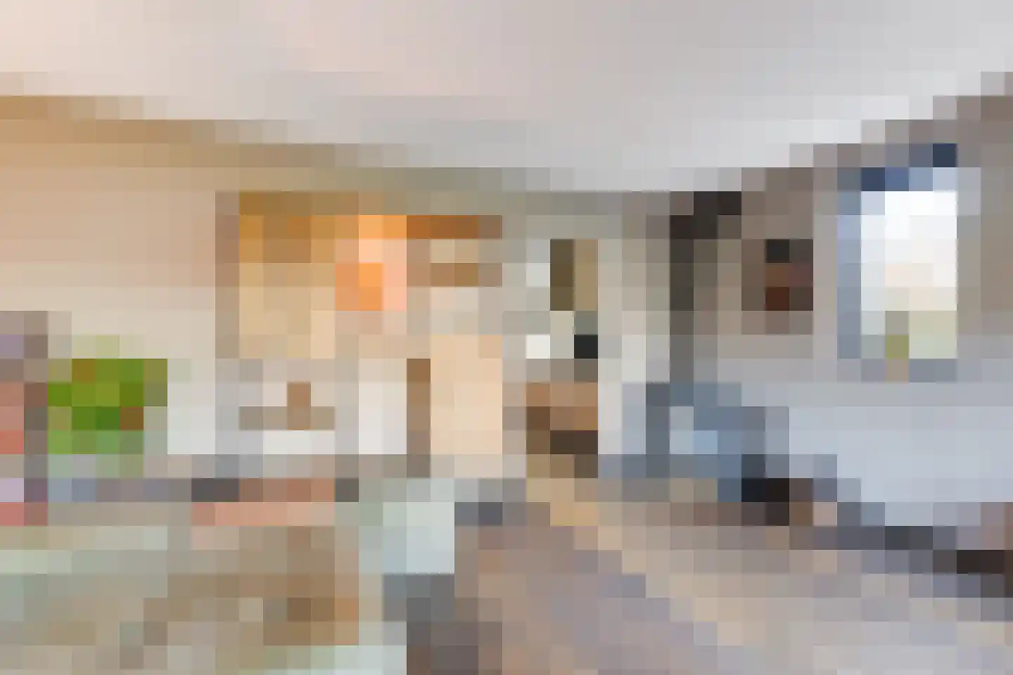 Melkeppe 13 Den Haag thumbnail 4