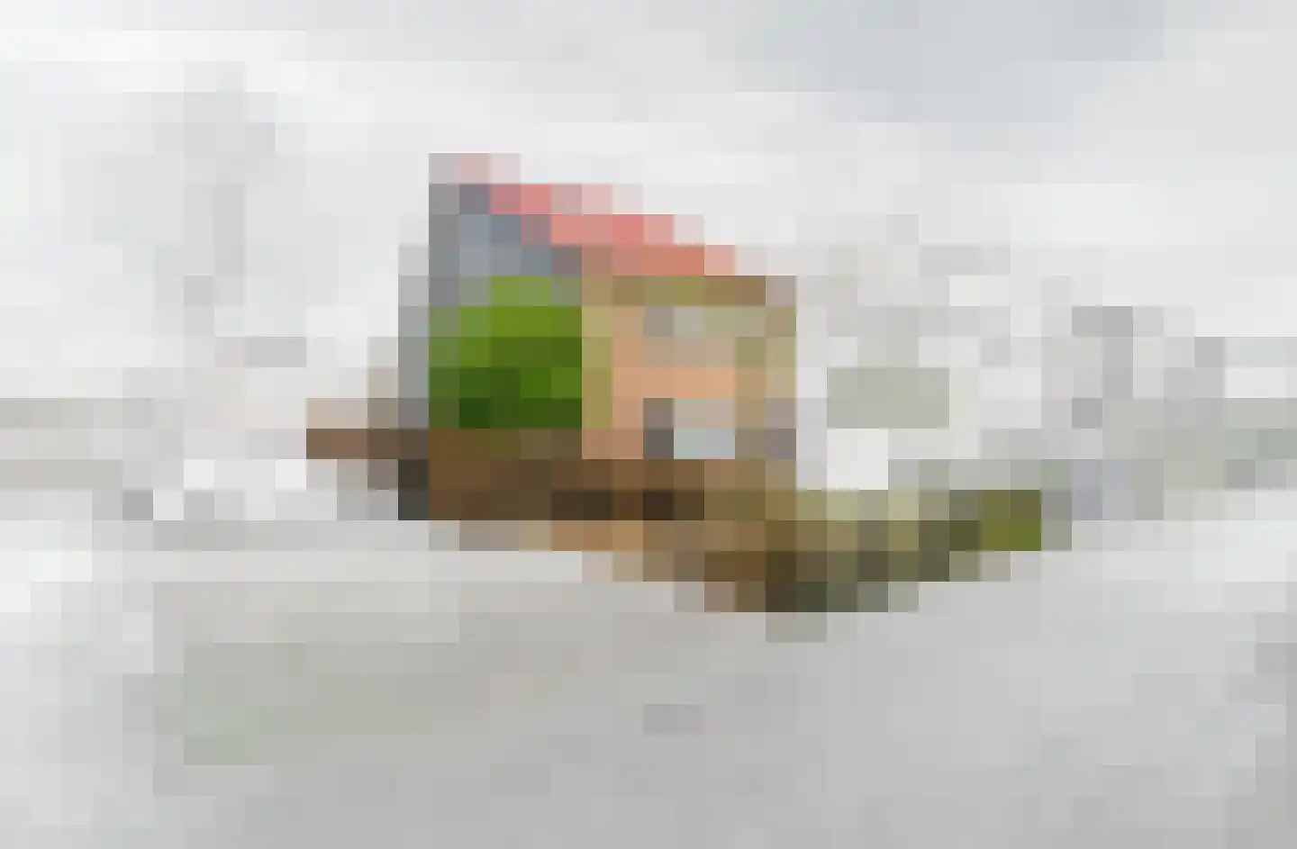 Melkeppe 13 Den Haag thumbnail 5