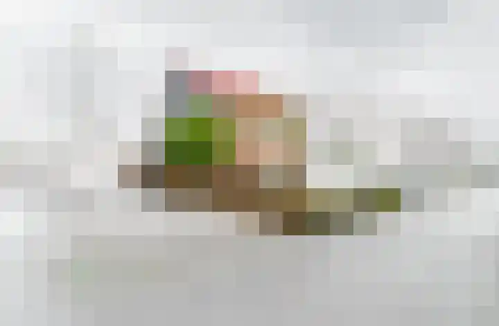 Melkeppe 13 Den Haag thumbnail 5