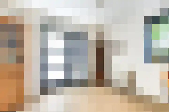 Melkeppe 13 Den Haag thumbnail 7