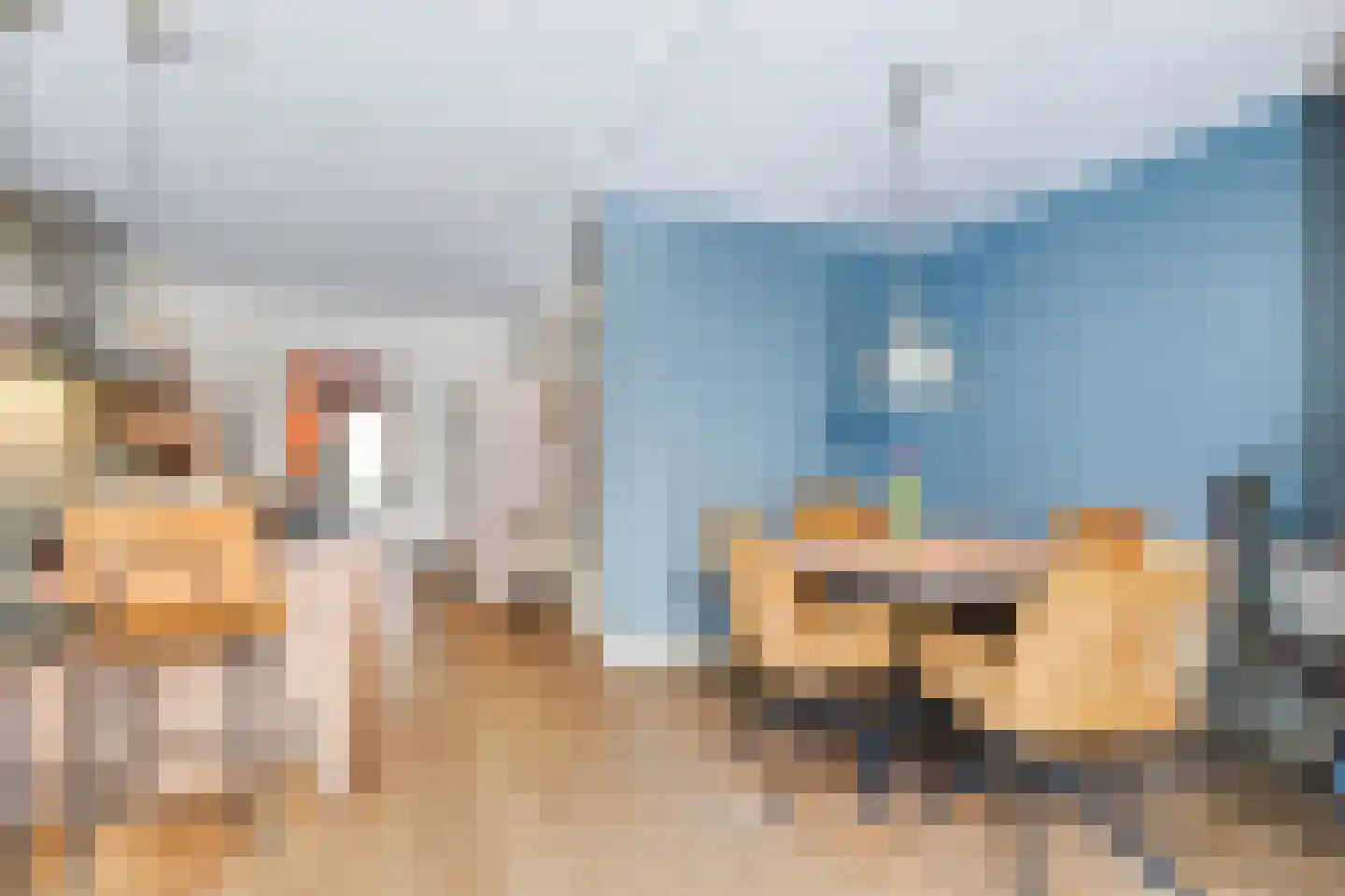 Melkeppe 13 Den Haag thumbnail 9
