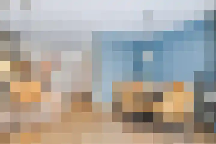 Melkeppe 13 Den Haag thumbnail 9