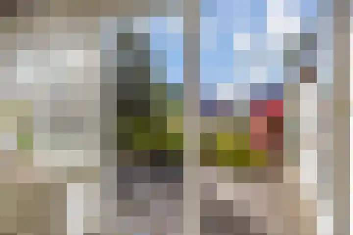 Melkeppe 44 Den Haag thumbnail 11