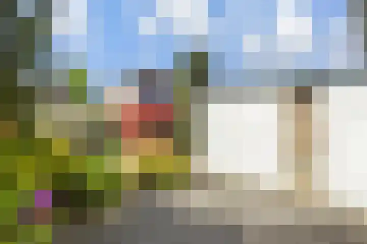 Melkeppe 44 Den Haag thumbnail 12