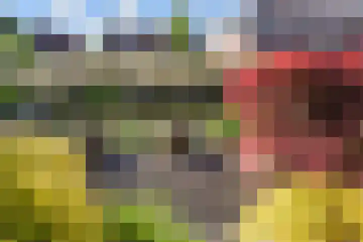 Melkeppe 44 Den Haag thumbnail 13
