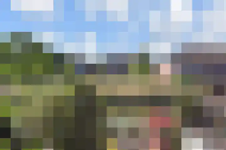 Melkeppe 44 Den Haag thumbnail 14