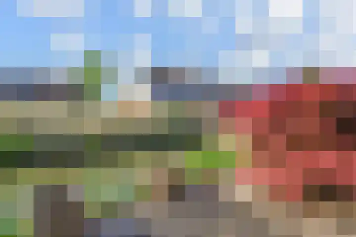 Melkeppe 44 Den Haag thumbnail 15