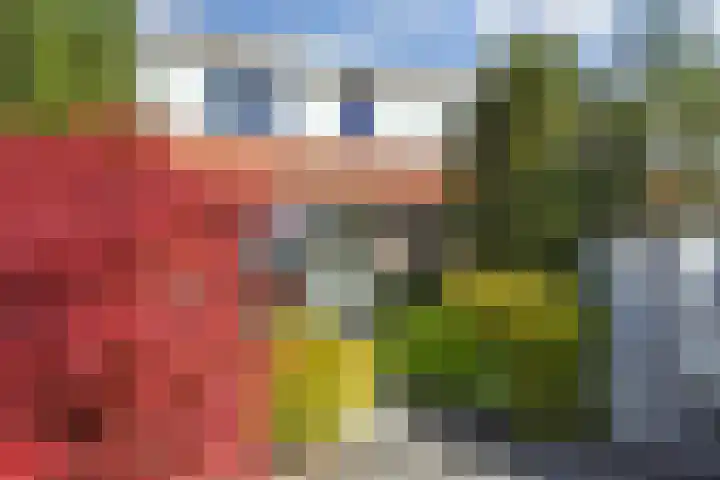 Melkeppe 44 Den Haag thumbnail 16