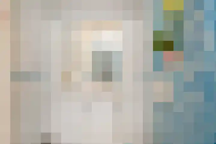 Melkeppe 44 Den Haag thumbnail 31