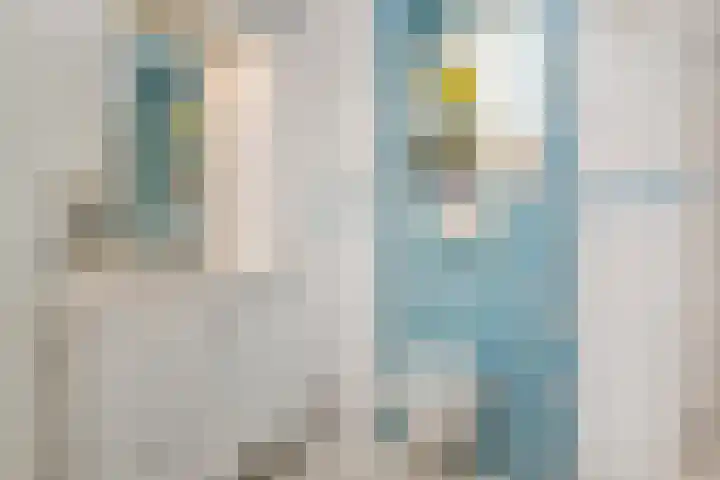 Melkeppe 44 Den Haag thumbnail 32