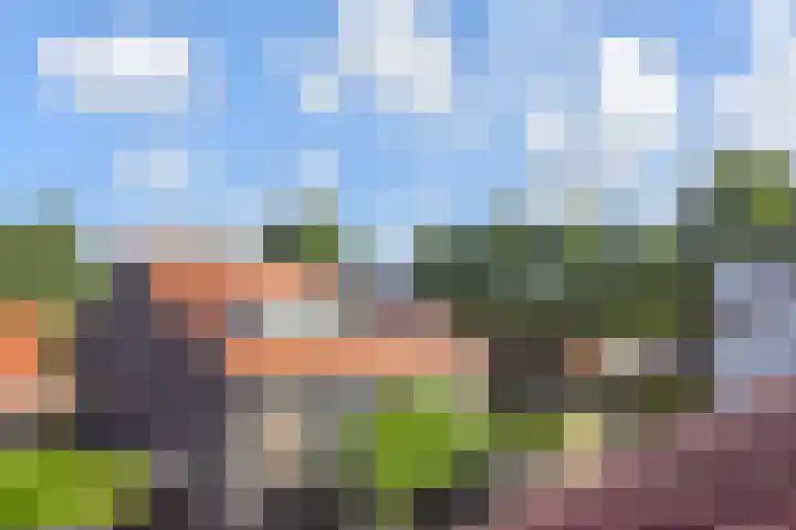 Melkeppe 44 Den Haag thumbnail 38