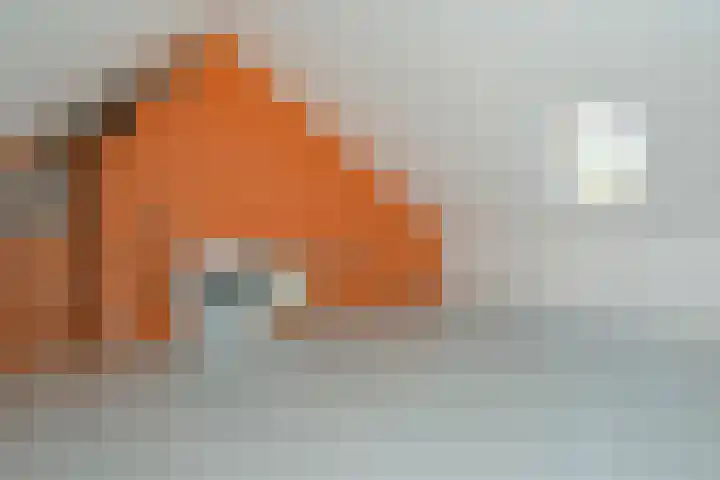 Melkeppe 44 Den Haag thumbnail 42