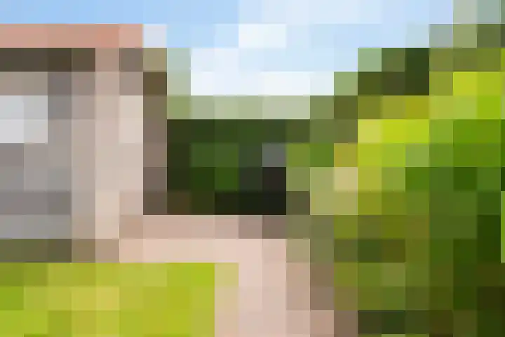 Melkeppe 44 Den Haag thumbnail 51
