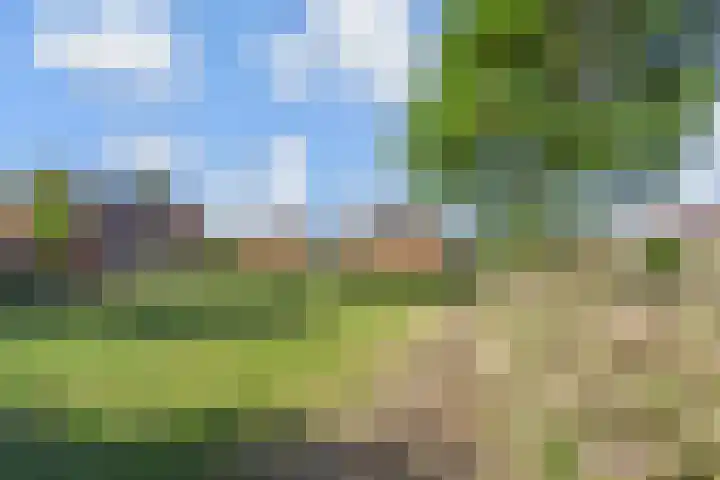 Melkeppe 44 Den Haag thumbnail 53
