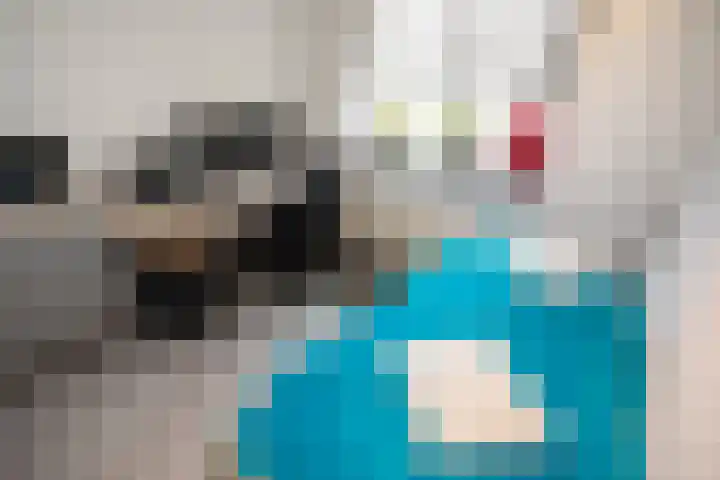 Melkeppe 44 Den Haag thumbnail 6