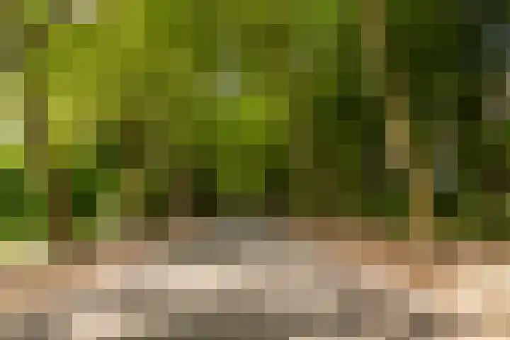 Melkeppe 44 Den Haag thumbnail 8