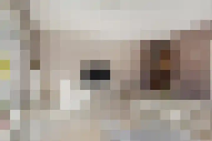 Melkeppe 44 Den Haag thumbnail 9