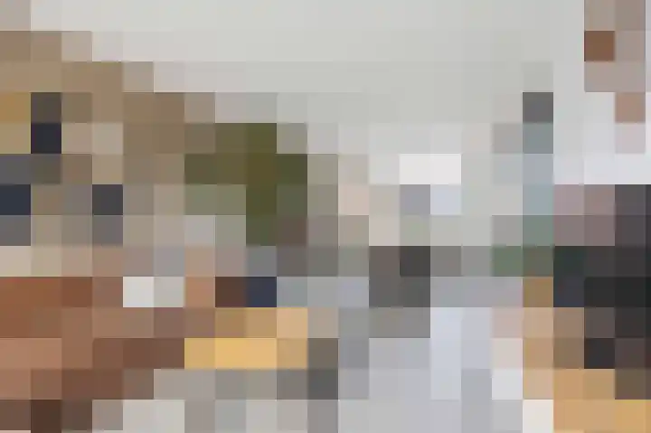 Melkerspaed 3 Akkrum thumbnail 11