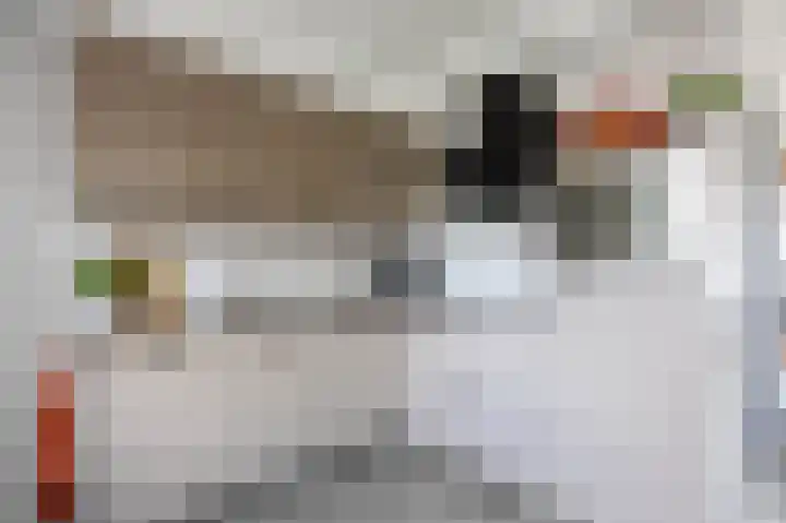 Melkerspaed 3 Akkrum thumbnail 17