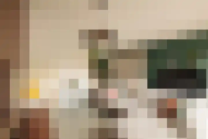 Melkerspaed 3 Akkrum thumbnail 19