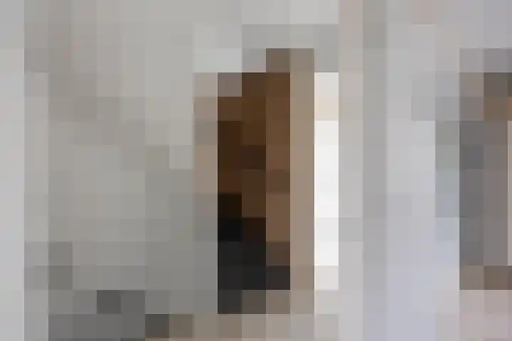 Melkerspaed 3 Akkrum thumbnail 21