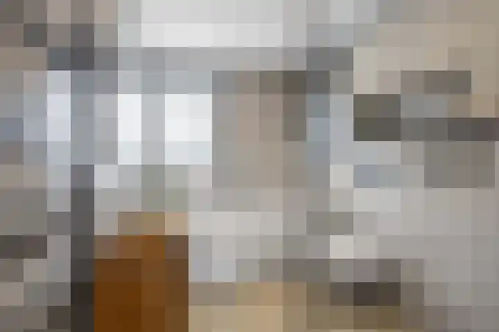 Melkerspaed 3 Akkrum thumbnail 27