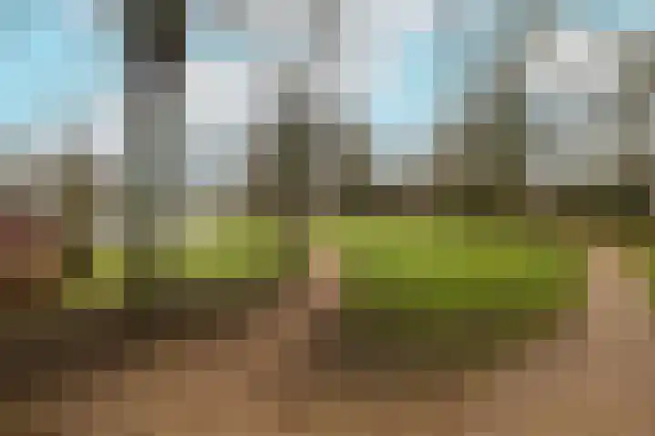 Melkerspaed 3 Akkrum thumbnail 29