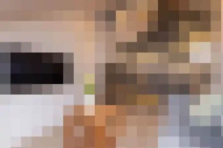 Melkerspaed 3 Akkrum thumbnail 33