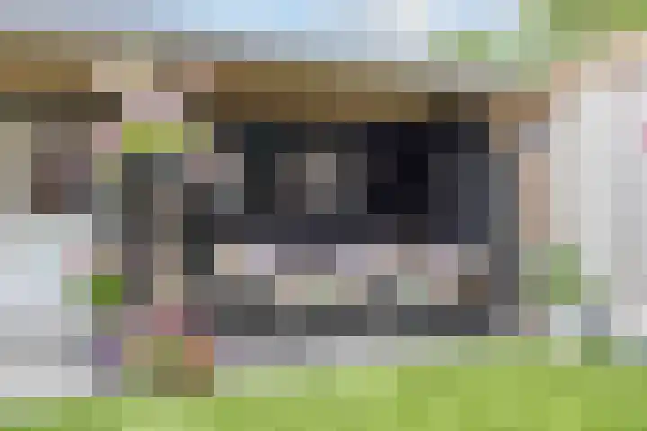 Melkerspaed 3 Akkrum thumbnail 40