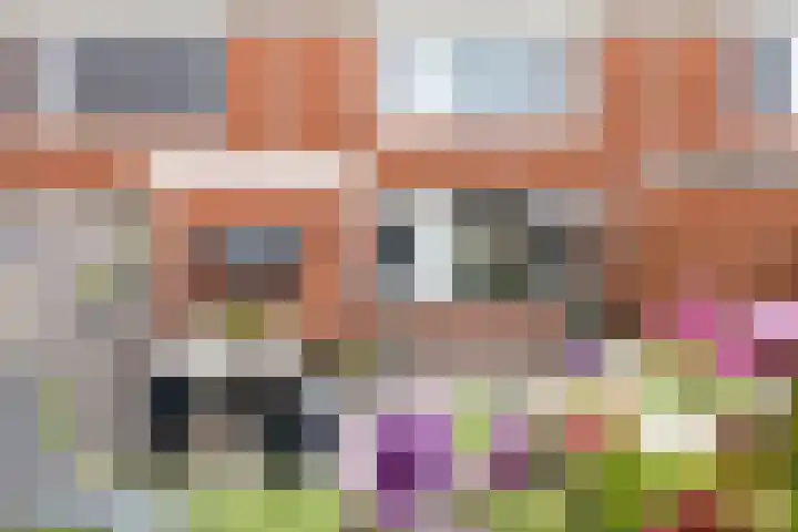 Melkerspaed 3 Akkrum thumbnail 43