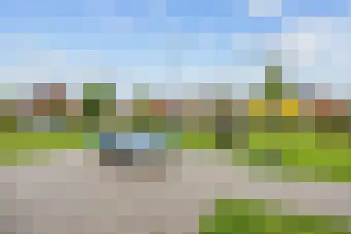 Melkerspaed 3 Akkrum thumbnail 45