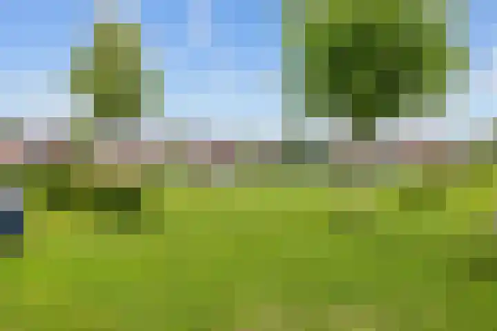 Melkerspaed 3 Akkrum thumbnail 46