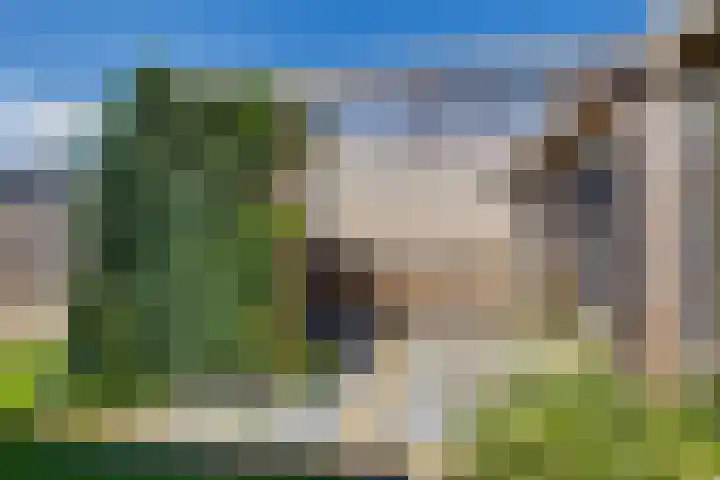 Melkerspaed 3 Akkrum thumbnail 5