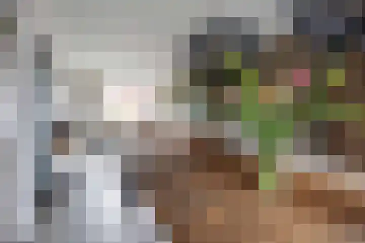 Melkerspaed 3 Akkrum thumbnail 8