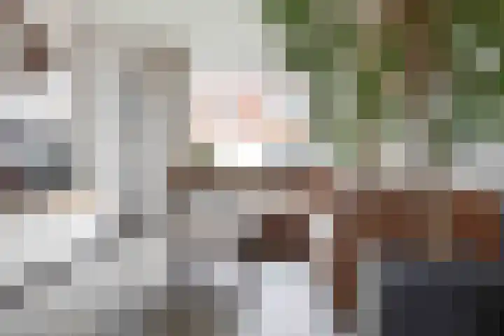 Melkerspaed 3 Akkrum thumbnail 9