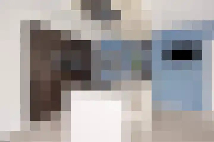 Melkerstraat 20 Erp thumbnail 13