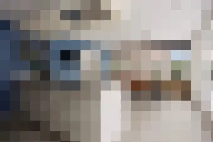Melkerstraat 20 Erp thumbnail 14