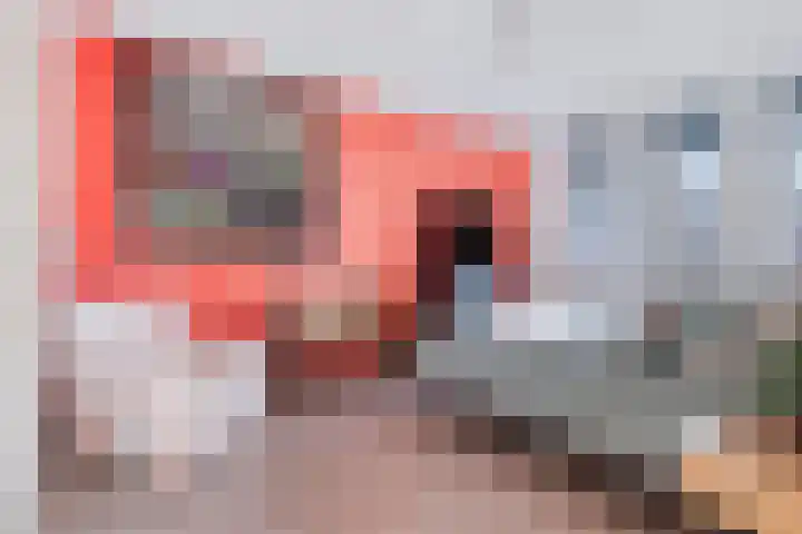 Melkfabriekstraat 10 Breda thumbnail 21