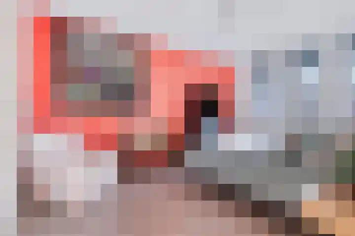 Melkfabriekstraat 10 Breda thumbnail 4