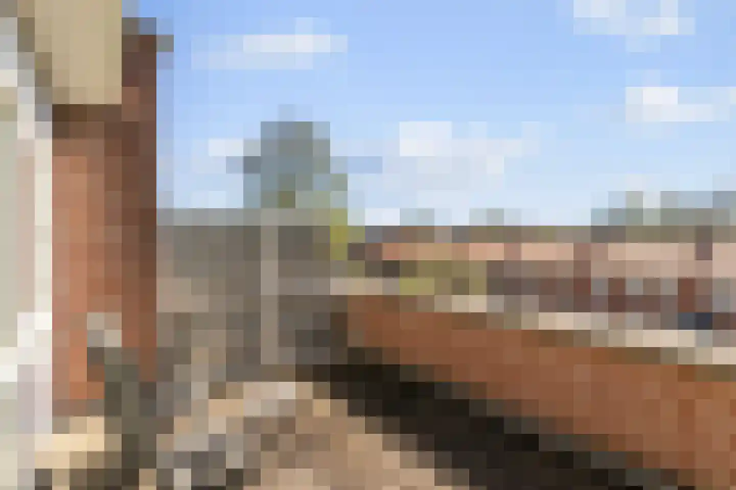 Melkfabriekstraat 13 Breda thumbnail 27